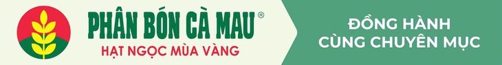 phan-bon-ca-mau-17362406303551657603627 1.400 bồn trữ nước đến tay bà con vùng hạn mặn - Ảnh 1.